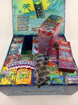 Wavvy 2G Flip Disposable