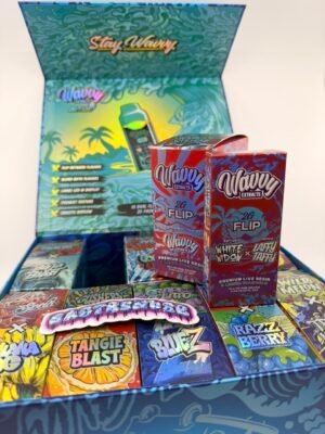 Wavvy 2G Flip Disposable