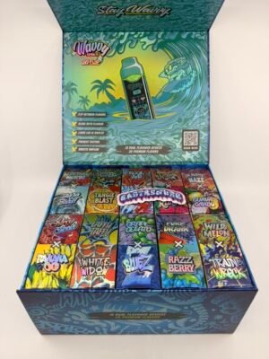 Wavvy 2G Flip Disposable