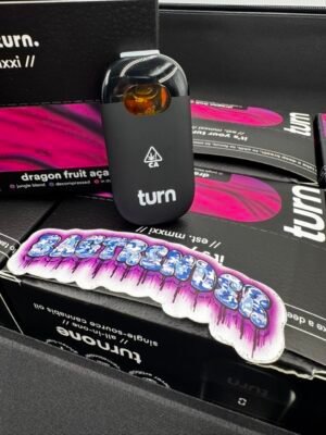Turn 2G Disposable Vape