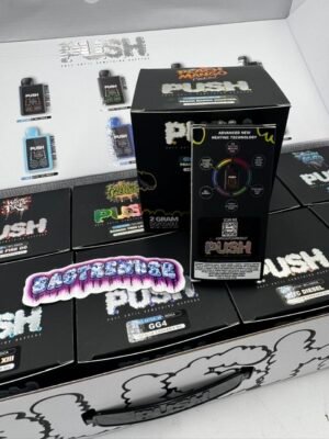 Push 2G Disposable Vape