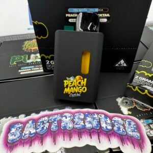 Push 2G Disposable Vape