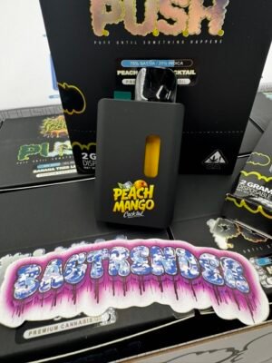 Push 2G Disposable Vape