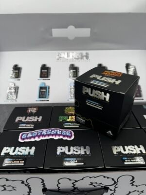 Push 2G Disposable Vape